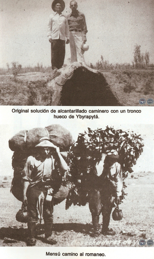 CULTURAS DE LA SELVA 1975/1979 - ENSAYO DE RAMIRO DOMÍNGUEZ